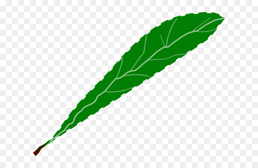 Transparent Foliage Png - Petalos Verde Png, Png Download - foliage png