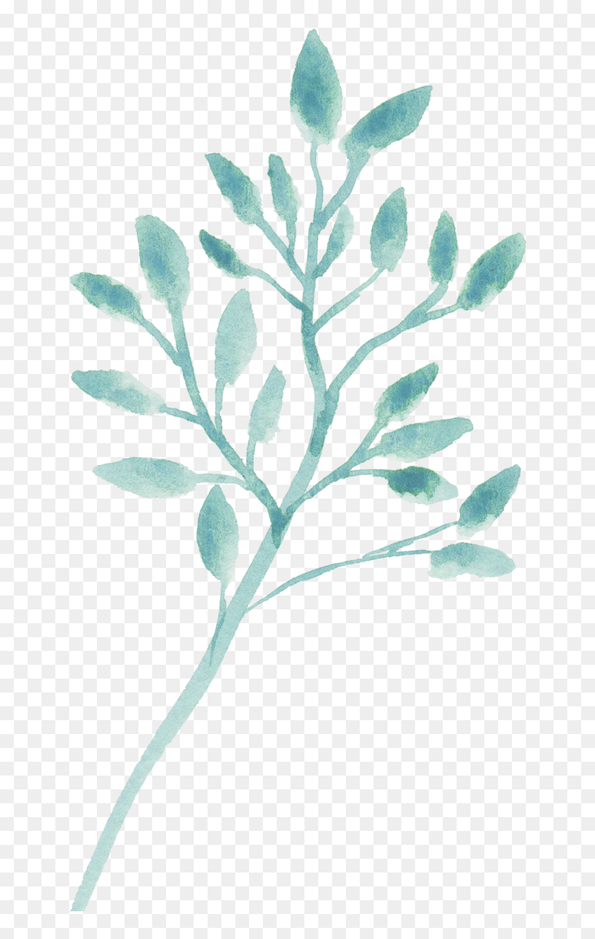Ramas , Png Download - Gambel Oak, Transparent Png - ramas png