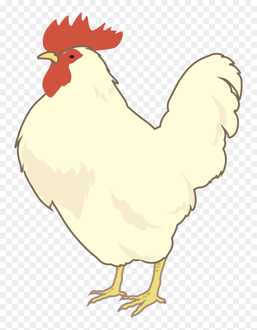White Leghorn Hen Png - Gallo De Pelea En Fieltro, Transparent Png - hen png