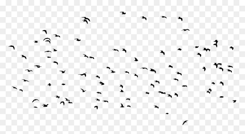 Flock, HD Png Download - birds silhouette png