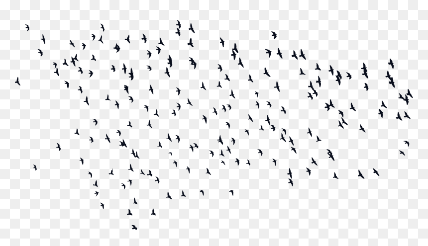 Birds Silhouette Png , Png Download - Portable Network Graphics, Transparent Png - birds silhouette png