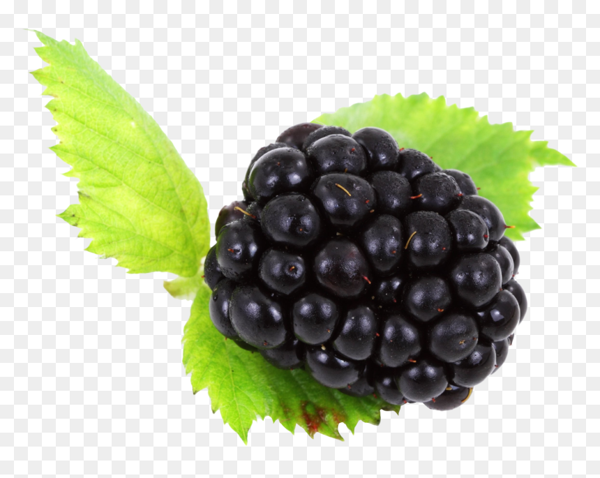 Blackbarries Png, Transparent Png - berries png