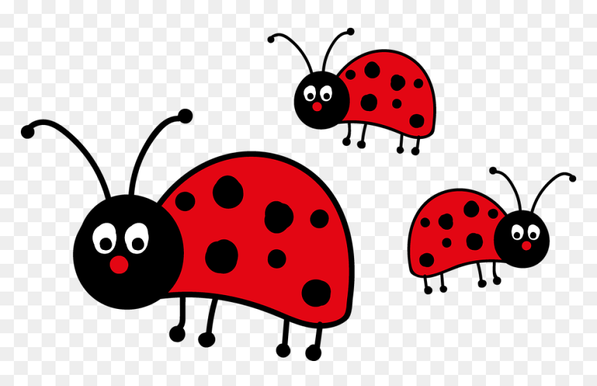 Lady Bug Png, Transparent Png - lady bug png