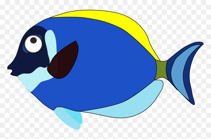 Fish Clipart - Fish Cartoons, HD Png Download - fishes png