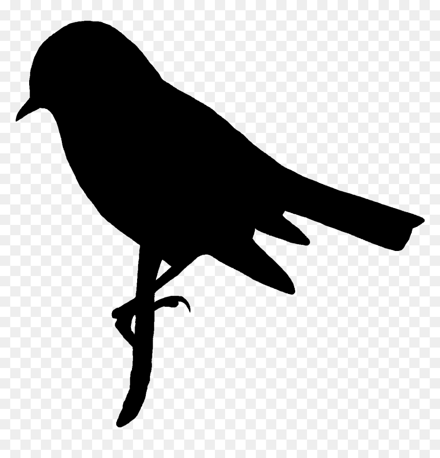 Digital Stamp, Transparent Png - Printable Bird Image Black And White, Png Download - birds silhouette png