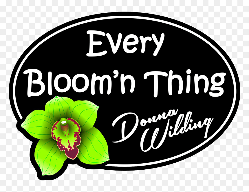 Every Bloom"n Thing - Moth Orchid, HD Png Download - flower crowns png