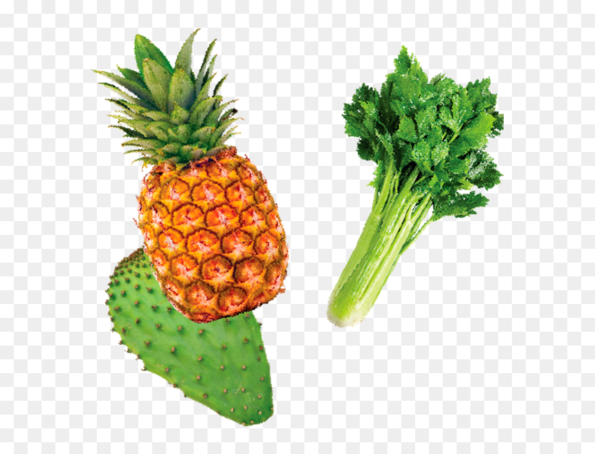 Piña Apio Y Nopal, HD Png Download - piña png