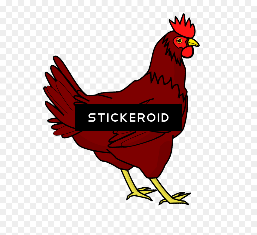 鸡png透明图像 鸡 Chicken Clip Art , Png Download - Hen Clipart Png, Transparent Png - hen png