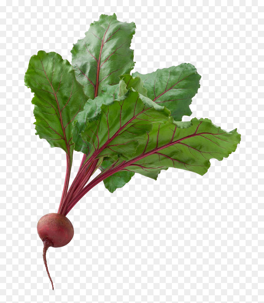 Jamba Juice Coupon 2011, HD Png Download - beet png