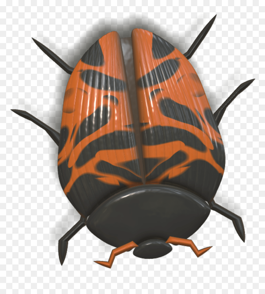 Ladybug Orange And Black Head Down - Ladybird Beetle, HD Png Download - lady bug png
