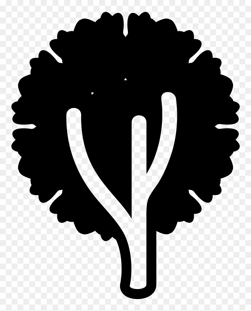 Tree Of Circular Shape Foliage - Infographic, HD Png Download - foliage png