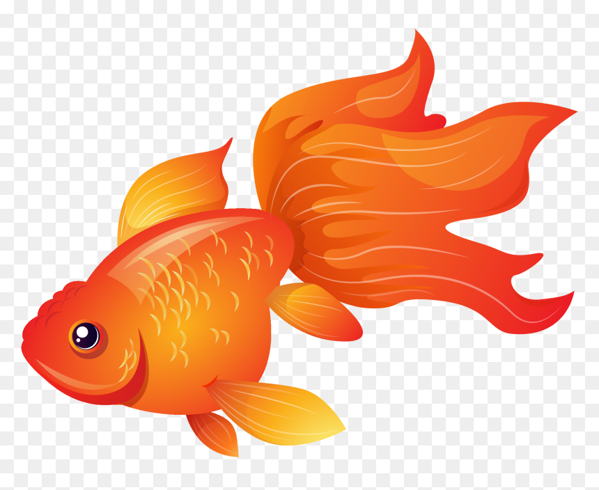 Goldfish, HD Png Download - fishes png