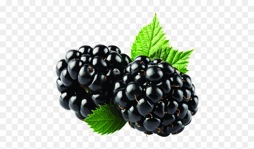 Blackberry Fruit Png, Transparent Png - berries png
