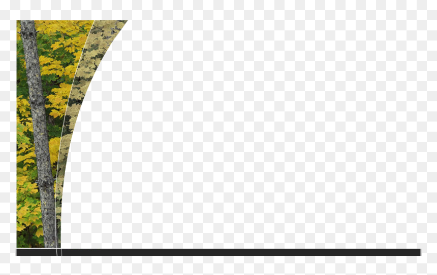 American Foliage , Png Download - Circle, Transparent Png - foliage png