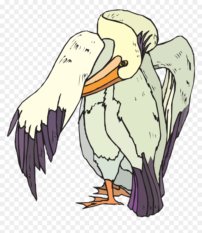 Birds Vector, HD Png Download - pelican png