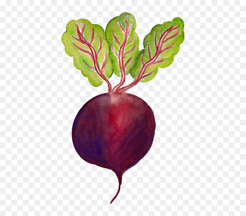 Beet Greens, HD Png Download - beet png