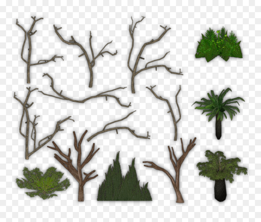 Zoo Tycoon 2 Foliage Packs , Png Download, Transparent Png - foliage png