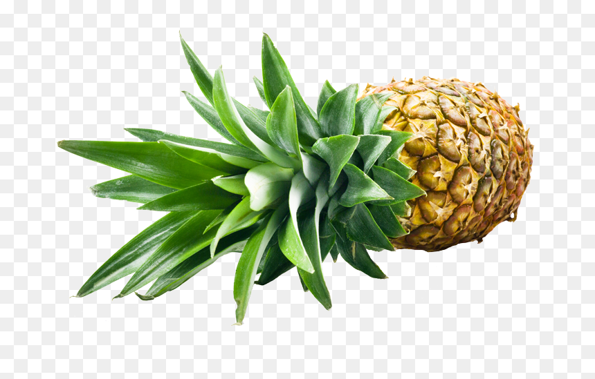Pineapple, HD Png Download - piña png