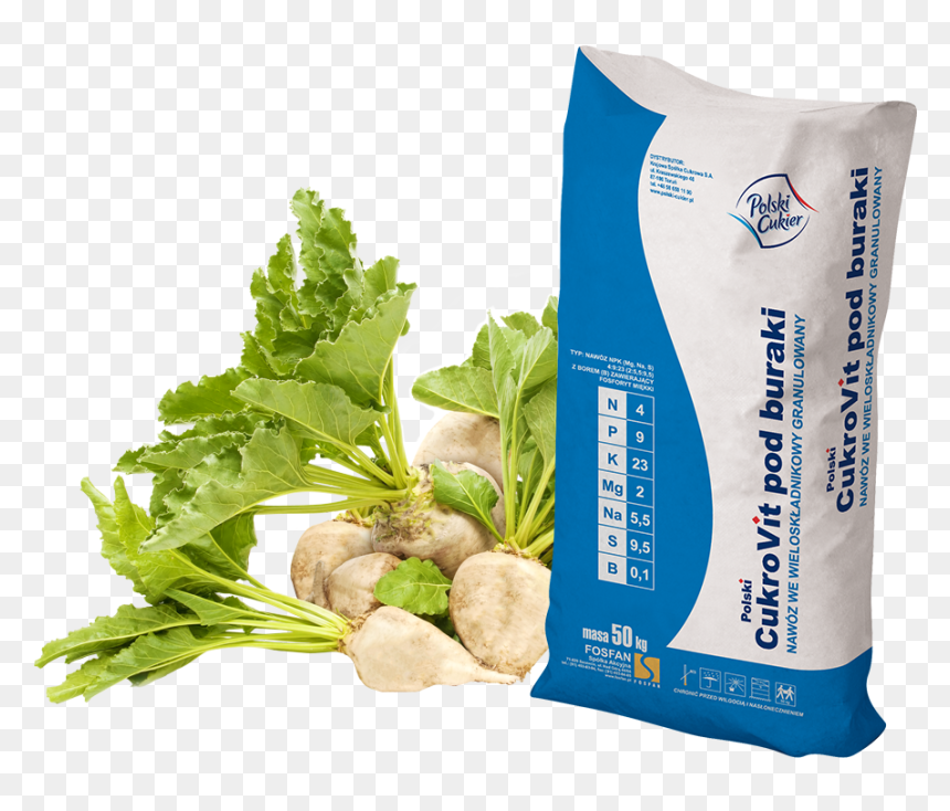 - Sugar Beet , Png Download - Natural Foods, Transparent Png - beet png