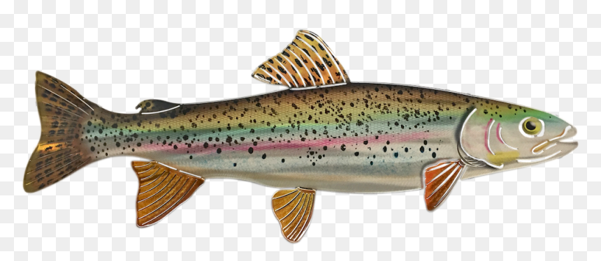 Rainbow Png Coastal Cutthroat Trout - Cutthroat Trout Png, Transparent Png - fishes png