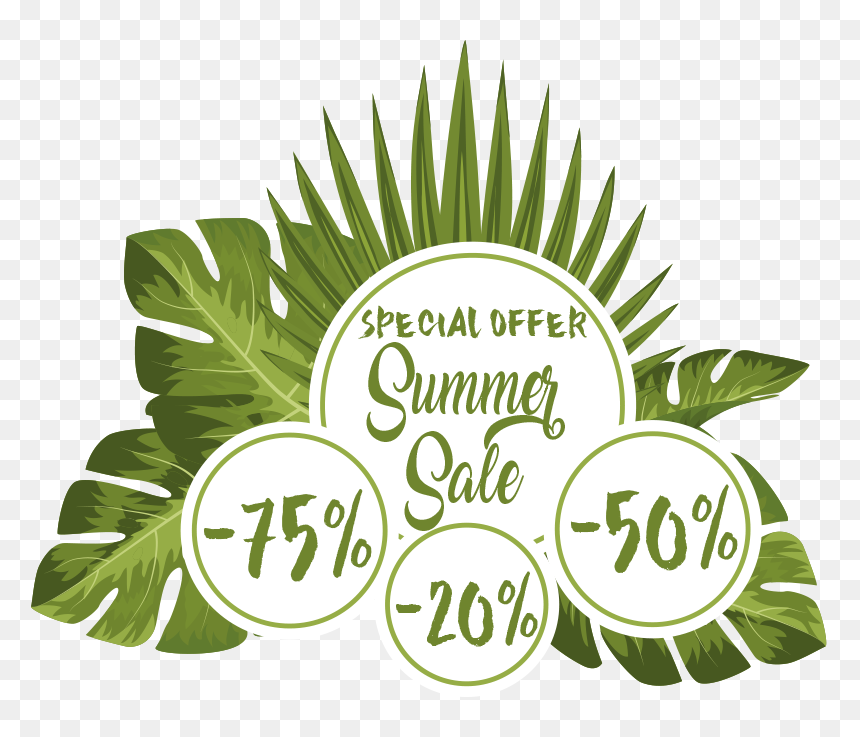 Label, HD Png Download - summer offer png