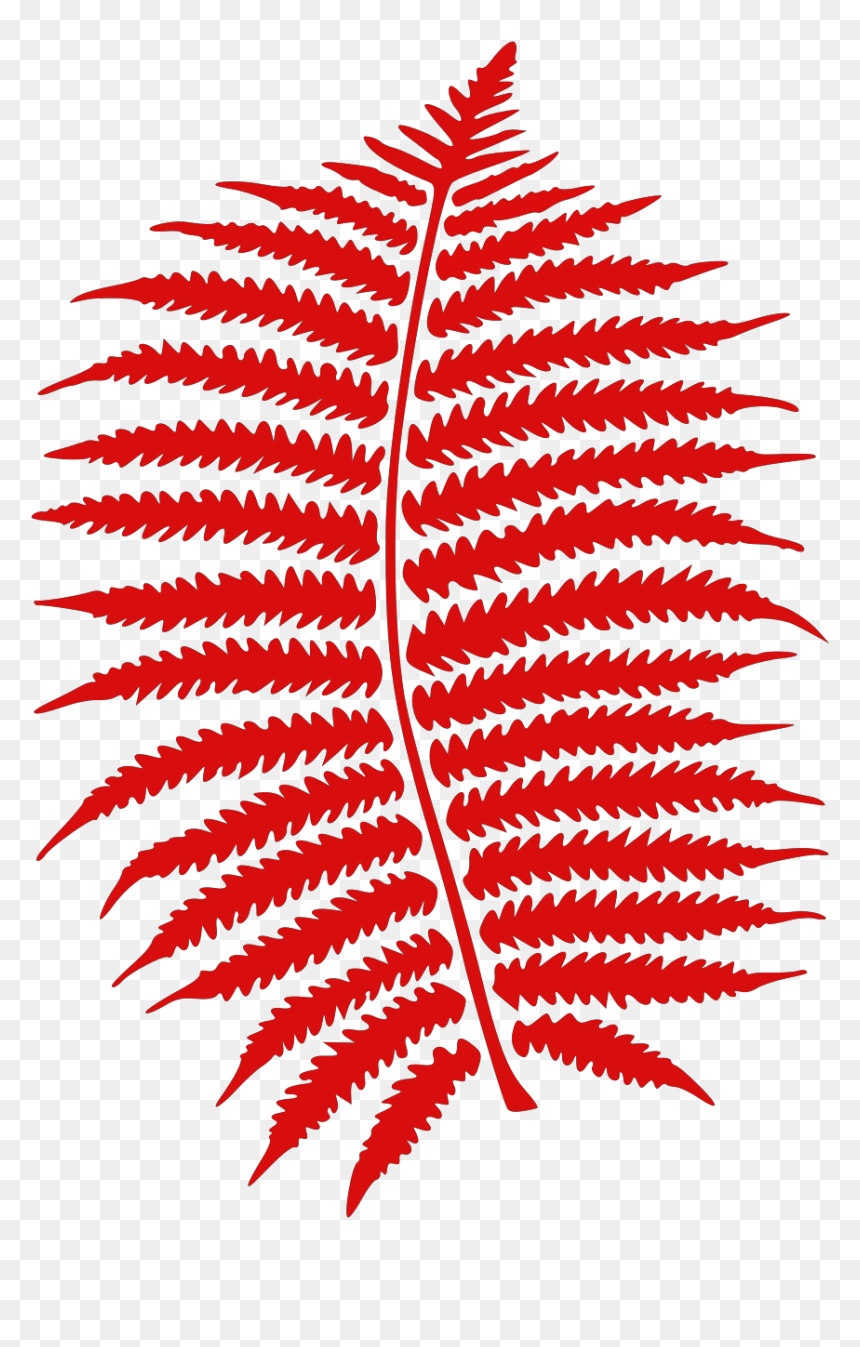 Fern Clipart Png, Transparent Png - ferns png