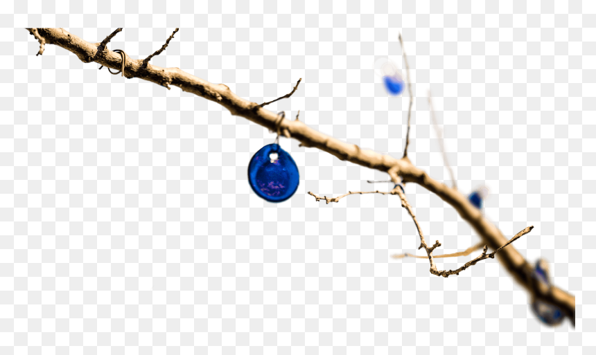 Circle, HD Png Download - ramas png