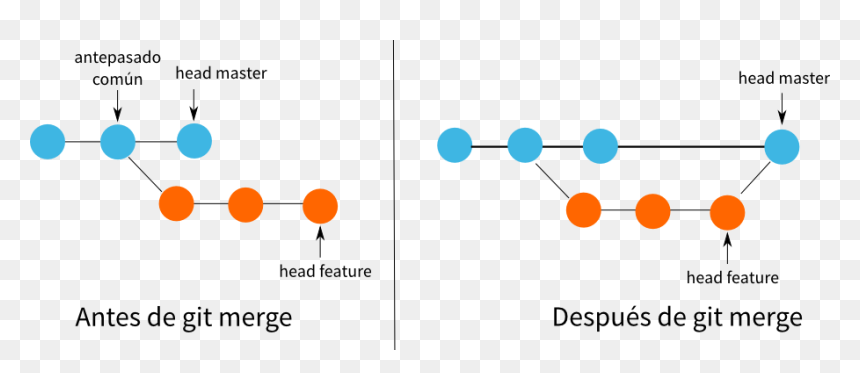 Diagram, HD Png Download - ramas png