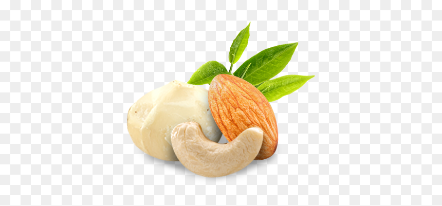 Cashew, HD Png Download - cashew nut png