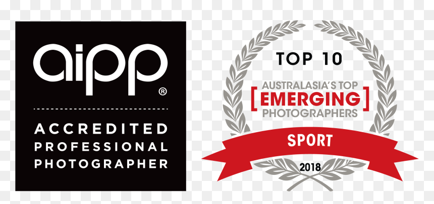 Paparazzi On The Run - Australasia's Top Emerging Photographer, HD Png Download - paparazzi png