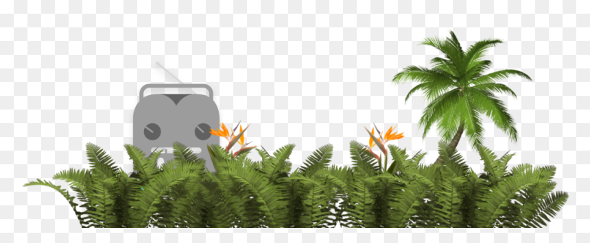 Ferns - Illustration, HD Png Download - ferns png