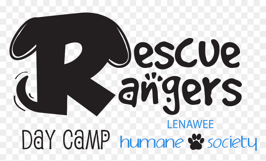 Camp Ko Man She, HD Png Download - summer offer png