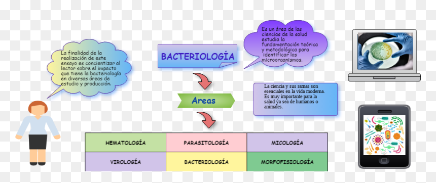 Diagram, HD Png Download - ramas png