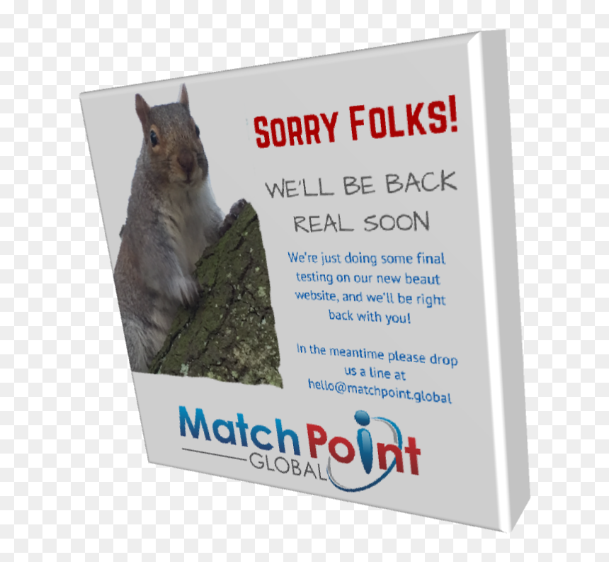 Flyer, HD Png Download - we'll be right back png