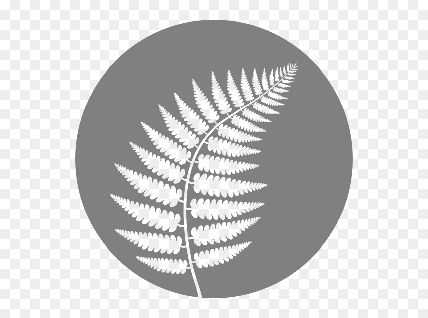 Ferns Png, Transparent Png - ferns png
