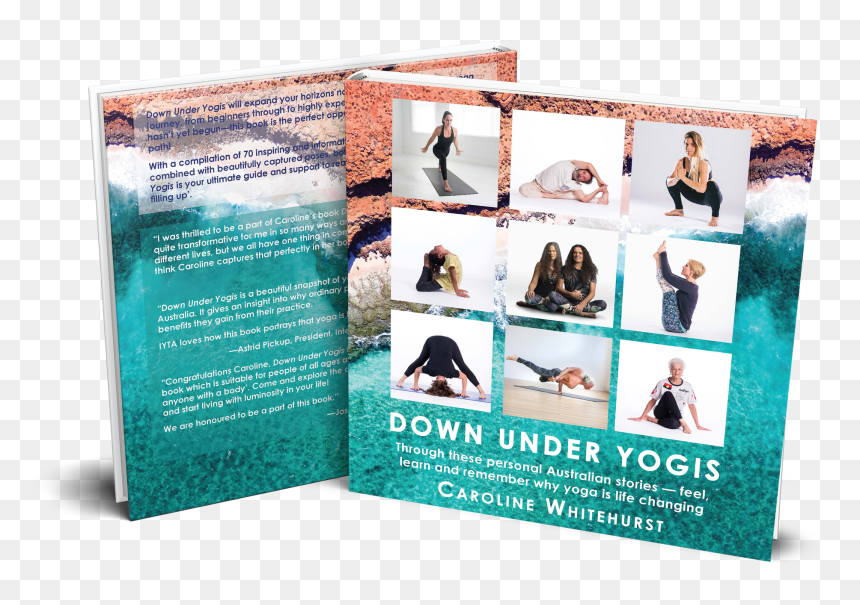 Flyer, HD Png Download - yogi png