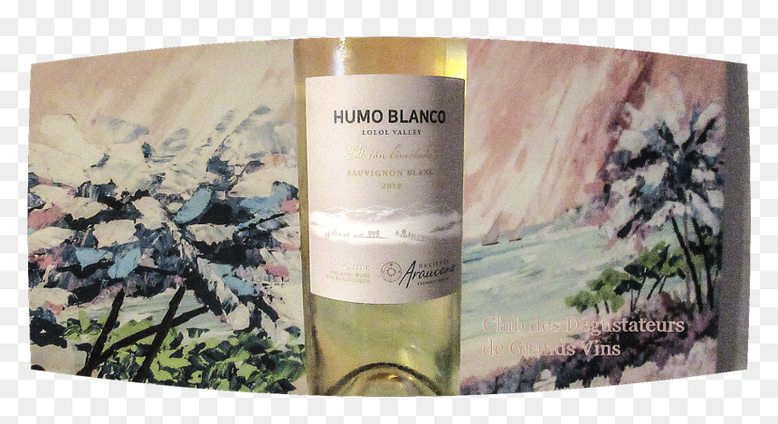 Glass Bottle, HD Png Download - humo blanco png