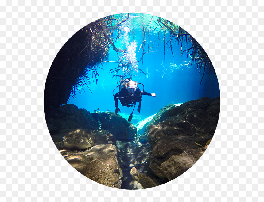 Underwater, HD Png Download - scuba diver png