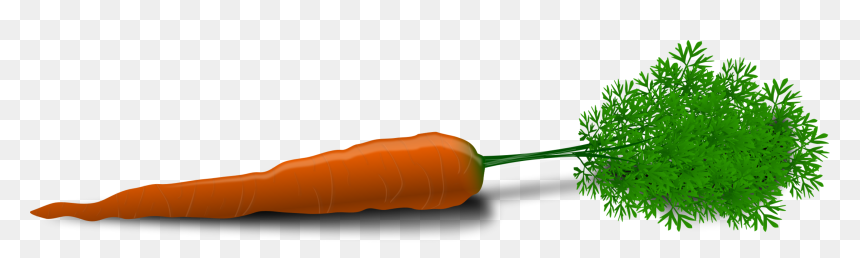 Plant Stem,carrot,vegetable - Carrot Clip Art, HD Png Download - vegetables png icons