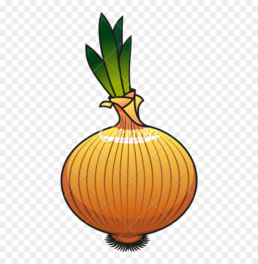 Onion Icon Design - Transparent Onion Icon, HD Png Download - vegetables png icons