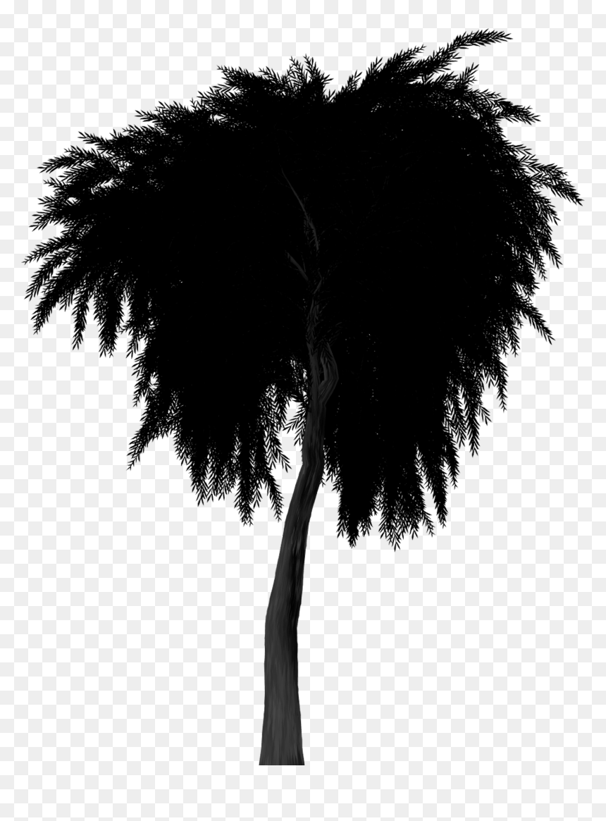 Silhouette Weeping Willow Tree - Willow Tree Silhouette Png, Transparent Png - willow png