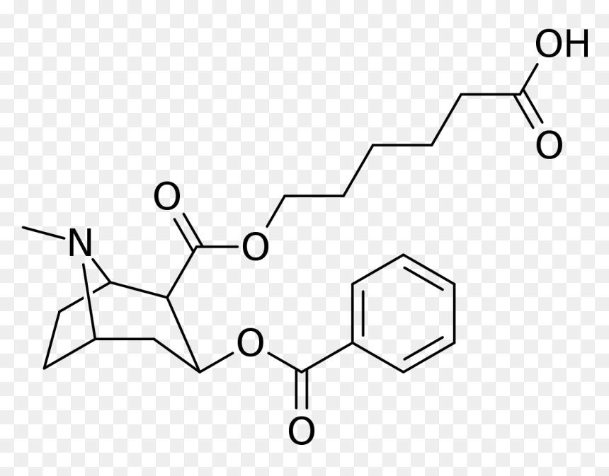 9 10 Diokso 9 10 Dihydro Anthracene, HD Png Download - gnc logo png