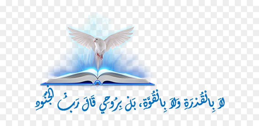 Open Book With Light, HD Png Download - humo blanco png