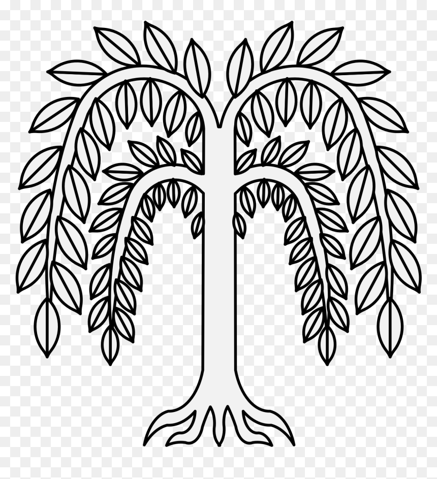 Willow Tree Clip Art - Willow Plant Drawing, HD Png Download - willow png