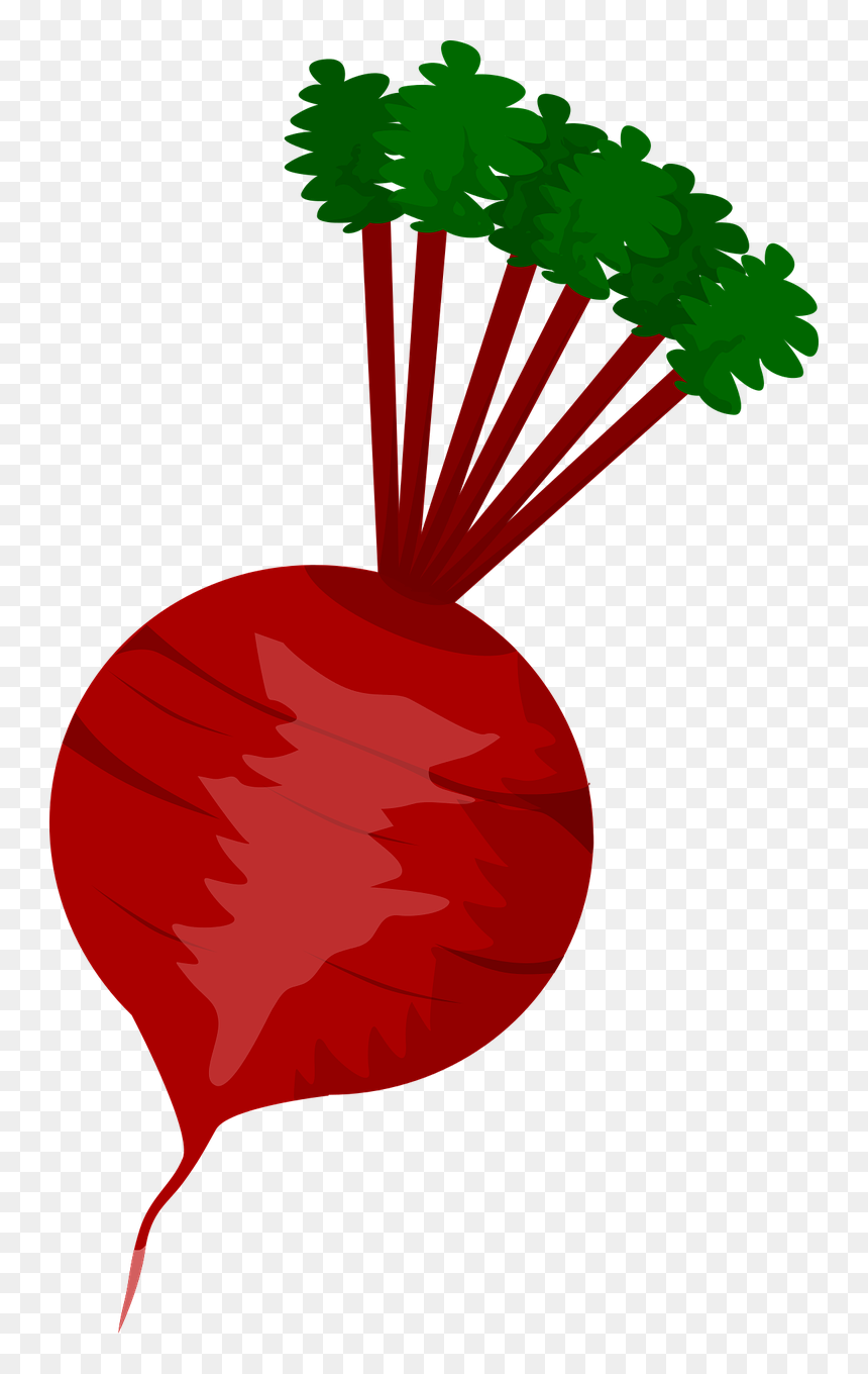 Vegetables Clipart Icon - Beet Clipart, HD Png Download - vegetables png icons