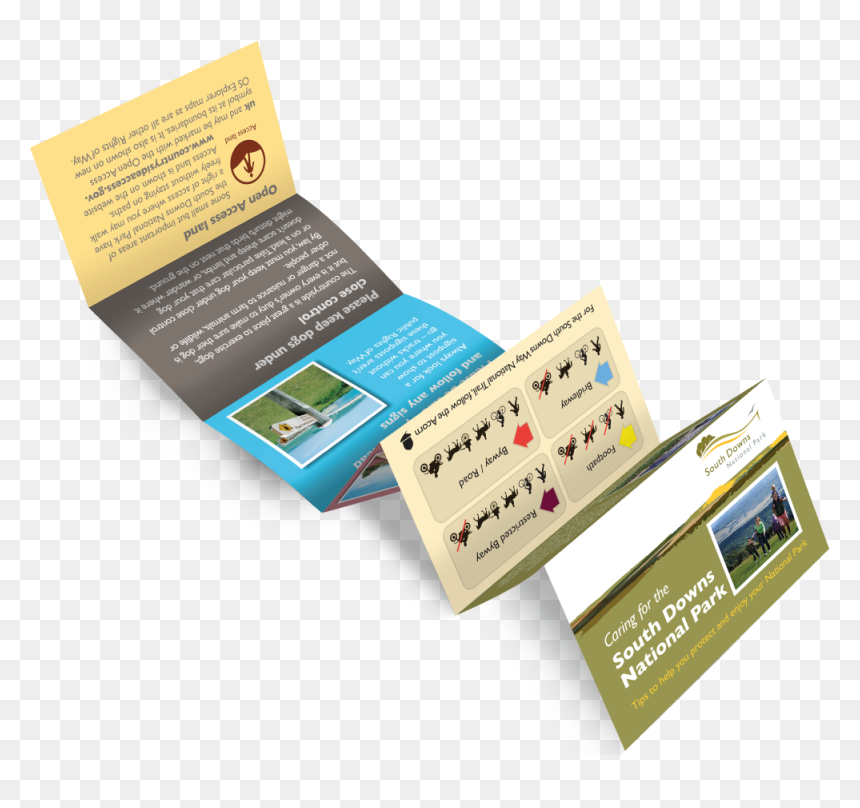 South Down Leaflet Design - Flyer, HD Png Download - card design png