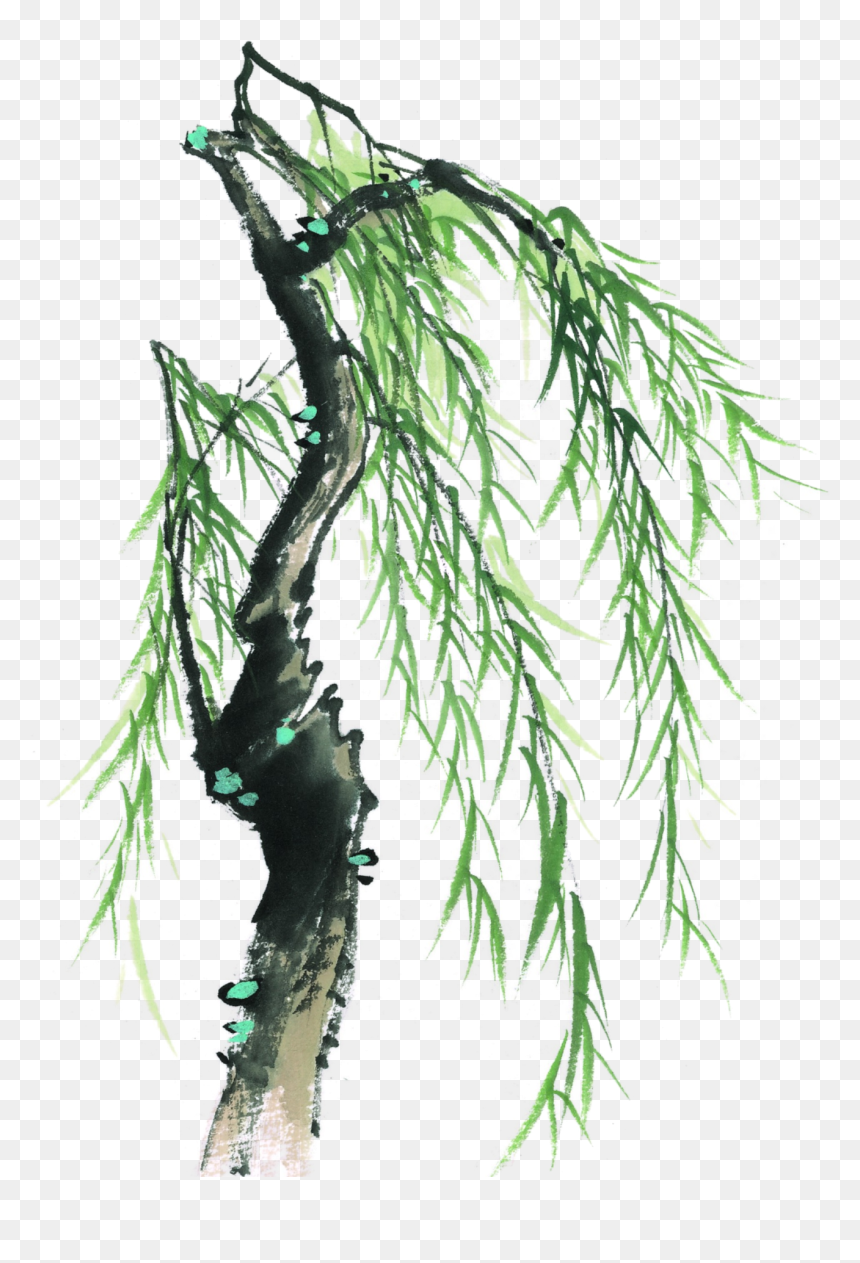 This Graphics Is Painted Willow Tree Element Design - 柳树 国画, HD Png Download - willow png