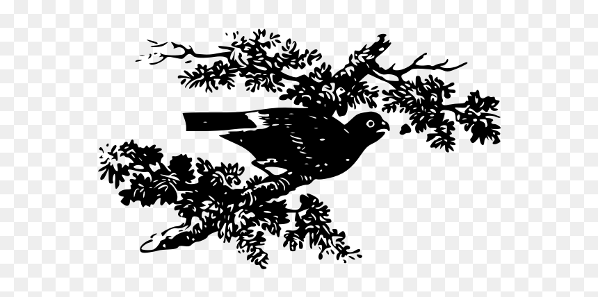 Vector Image Of Pigeon On A Tree Branch - Clip Art, HD Png Download - real tree branch png