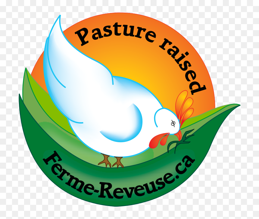 Clip Art, HD Png Download - live chicken png