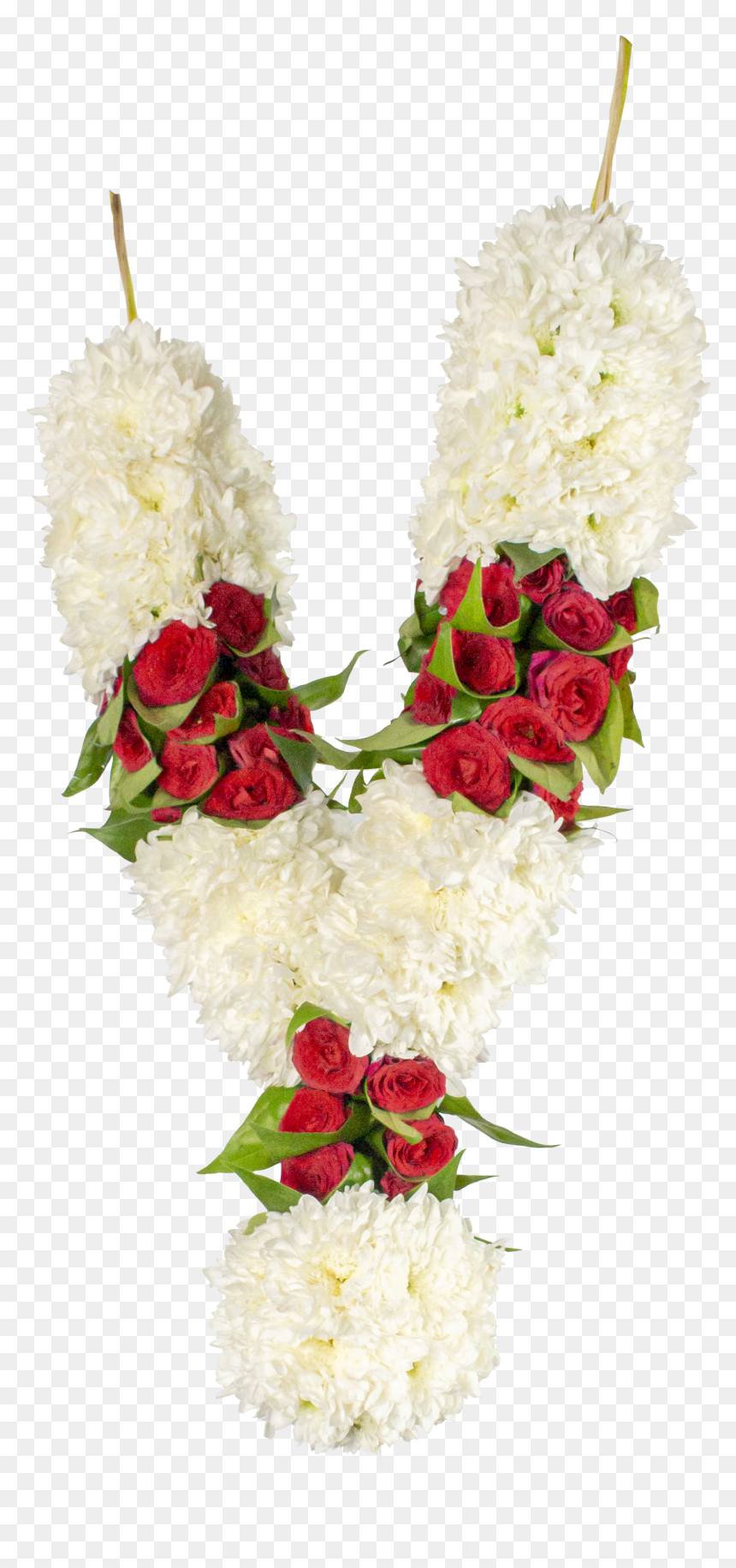 Garden Roses, HD Png Download - indian flower garland png